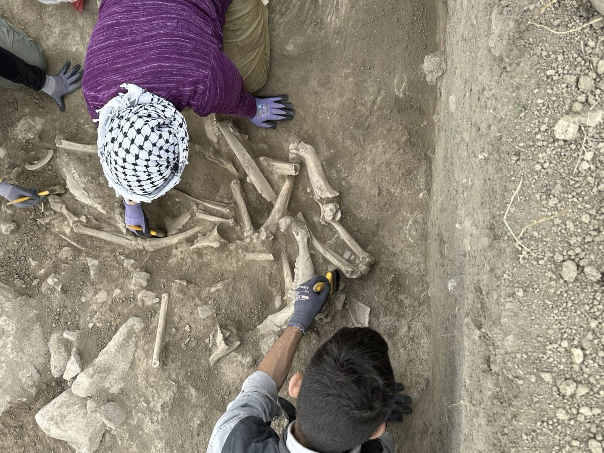 L'Anatolia e il cerchio dei bambini perduti