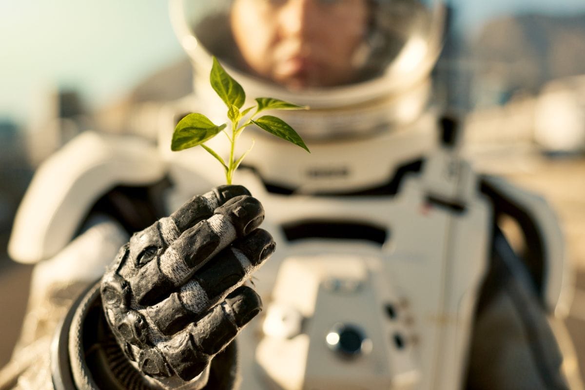 Ecco perché coltivare piante nello spazio può aiutare a salvare il pianeta