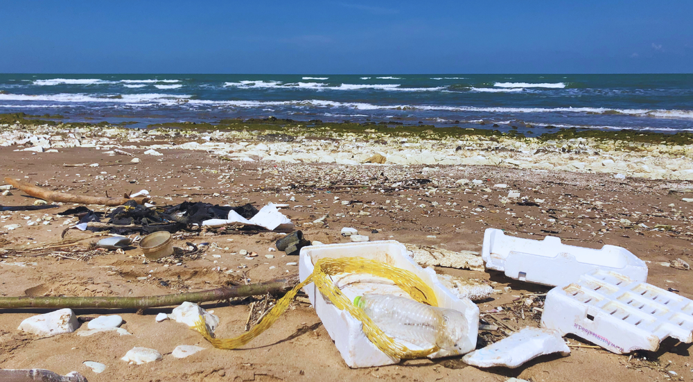 Polistirolo nel settore della pesca, Italia maglia nera europea post image