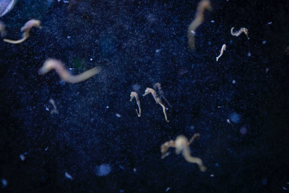 Una grande mostra racconta come la crisi climatica sta cambiando il Mediterraneo post image